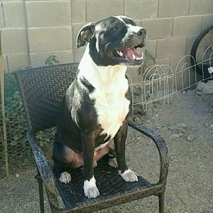 Meet your Posher, Jay